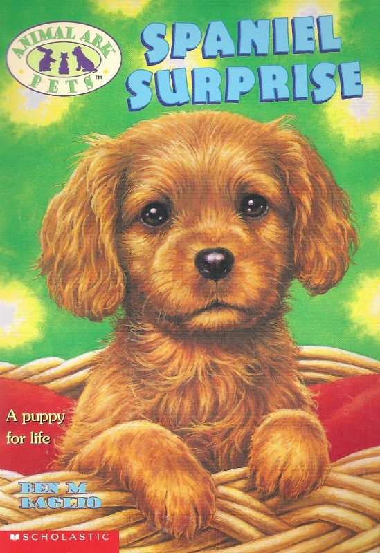 Spaniel Surprise