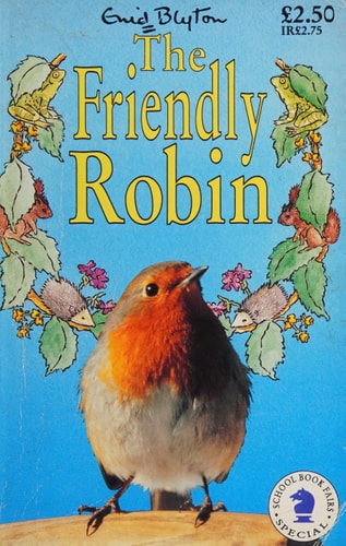 The Friendly Robin